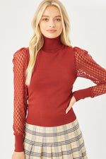 Sheer Arm Turtle Neck Clay